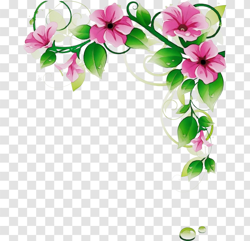 Flower Pink Petal Plant Cut Flowers Transparent PNG