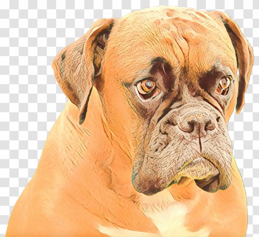 Cartoon Dog - Ear - Giant Breed Transparent PNG