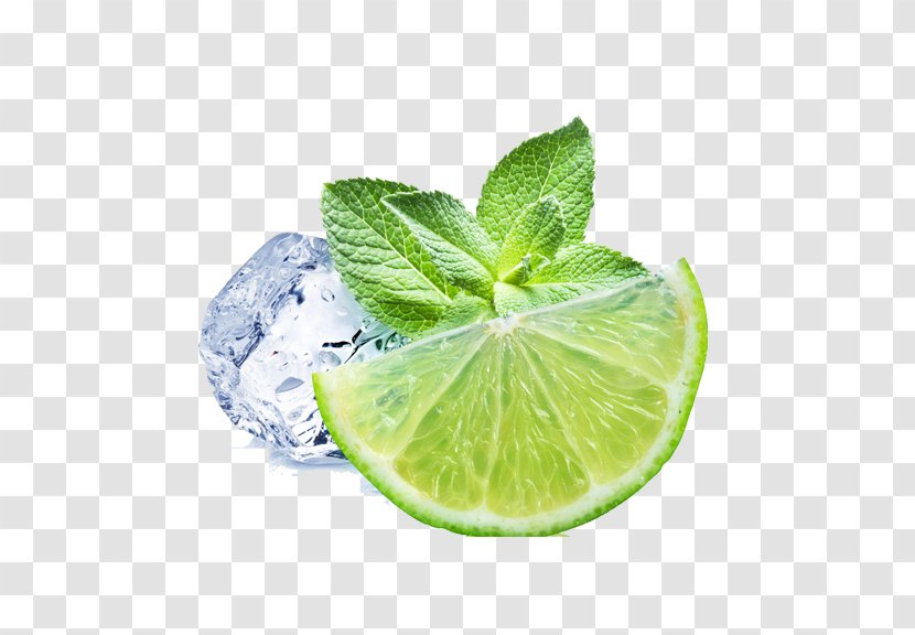 Juice Lemonade Mint Lemon Beebalm - Perennial Plant - Ice Transparent PNG