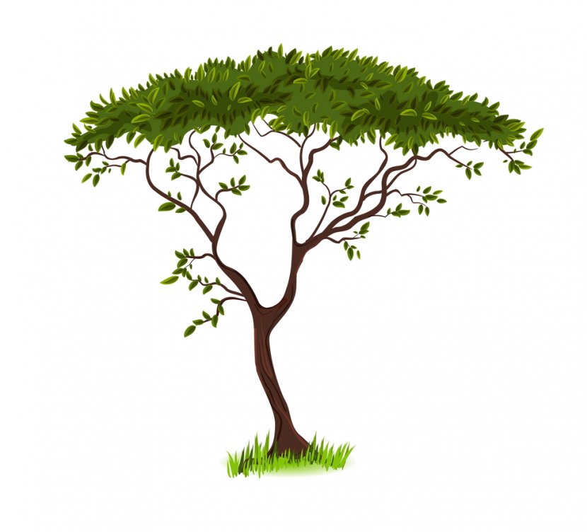 Savanna Silhouette Tree Clip Art - Plant Transparent PNG