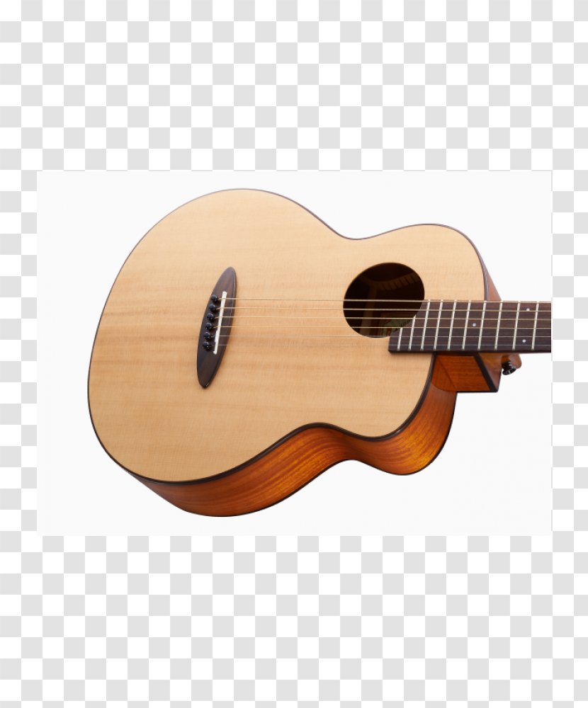Acoustic Guitar Ukulele Acoustic-electric Tiple - C F Martin Company - Feather Material Transparent PNG