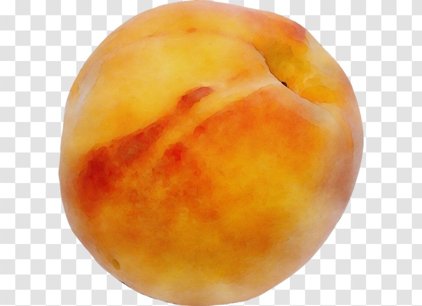 Orange Background - Plant - Nectarine Transparent PNG