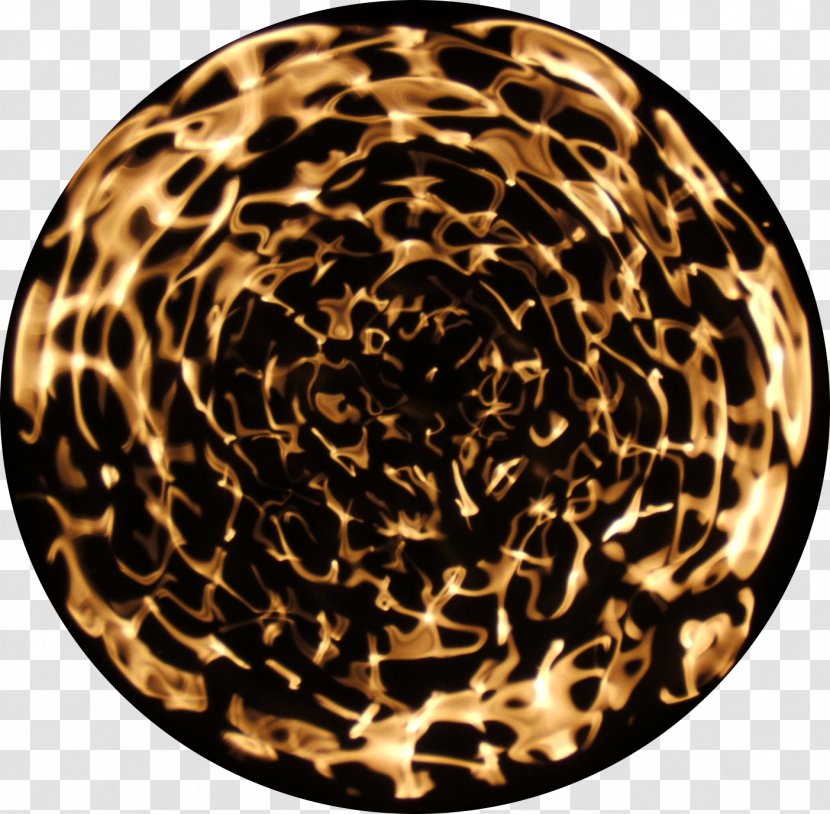 Big Cat - Cats Transparent PNG