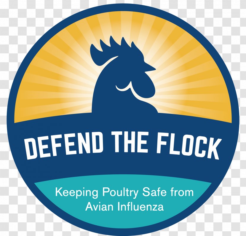 Avian Influenza Disease United States Department Of Agriculture Animal And Plant Health Inspection Service Poultry - Flock Birds Transparent PNG