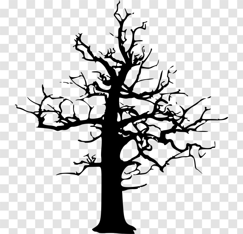 Tree Drawing Clip Art Transparent PNG