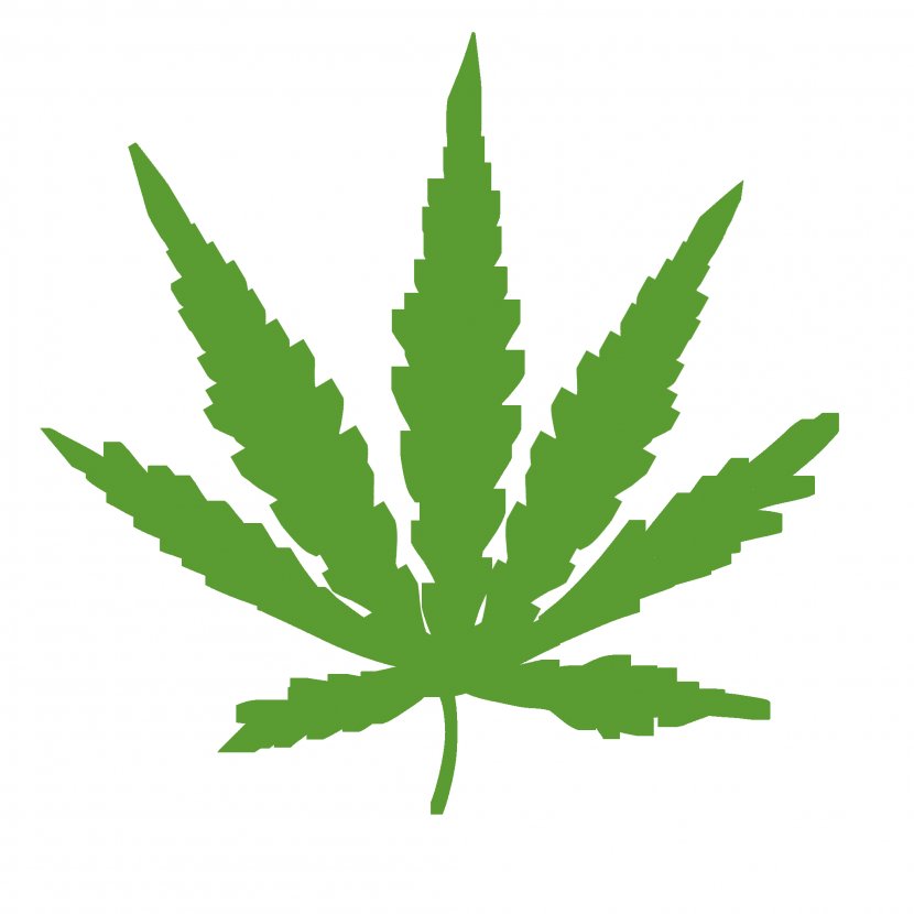 Cannabis Ruderalis Sativa Medical Smoking - Legalization - Marijuana Transparent PNG