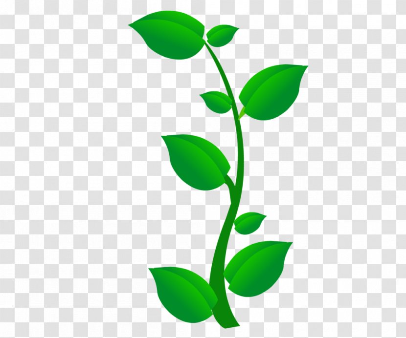 Leaf Clip Art Image - Flora - Green Trees Transparent PNG