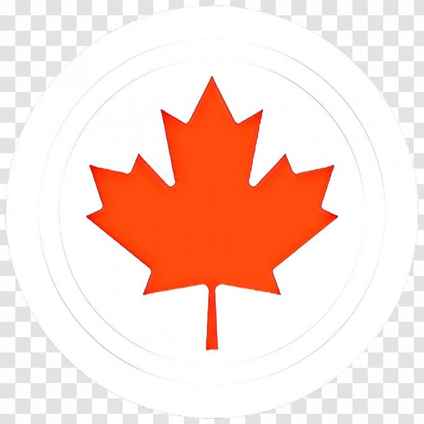 Canada Maple Leaf - Day - Logo Symbol Transparent PNG