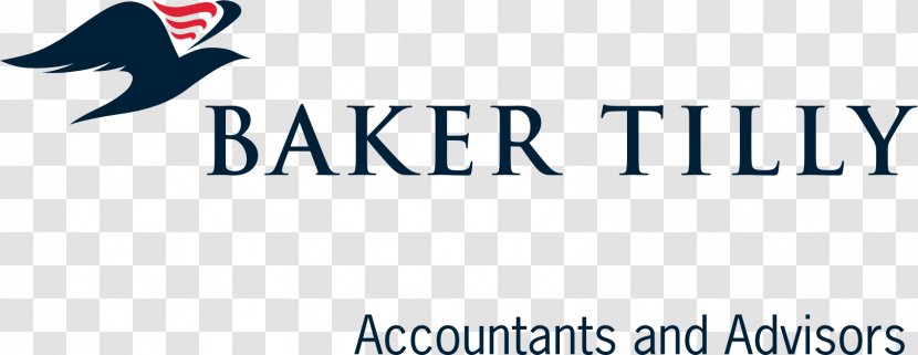 Baker Tilly International Virchow Krause, LLP Audit The TPA Group Business Transparent PNG
