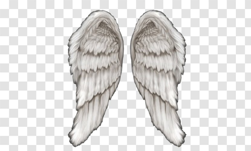 Drawing Clip Art - Frame - Angel Wings Transparent PNG