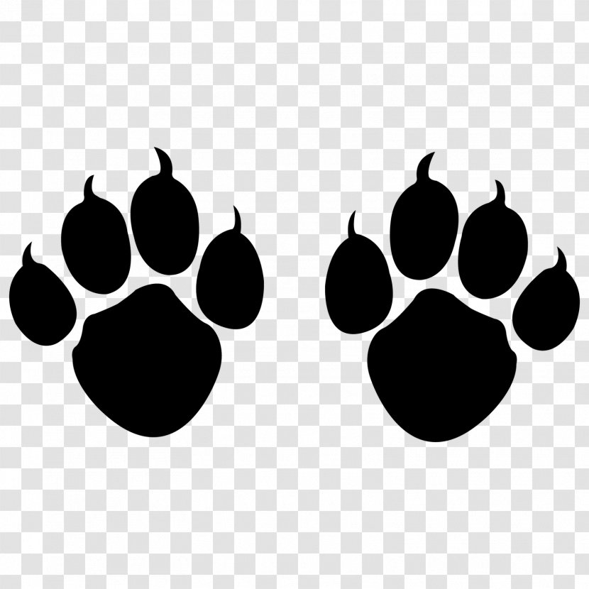 Cat Paw Claw Dog - Photography Transparent PNG
