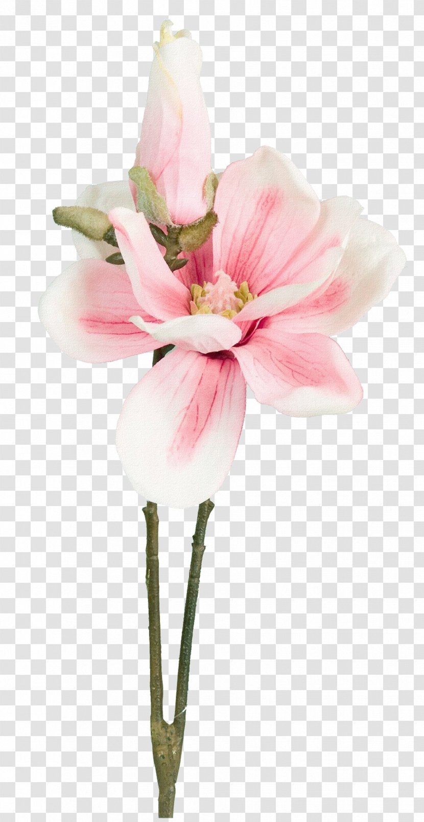 Flower Bouquet Petal - Rose - Creative Of Flowers Frame,Beautiful Pink Petals Transparent PNG