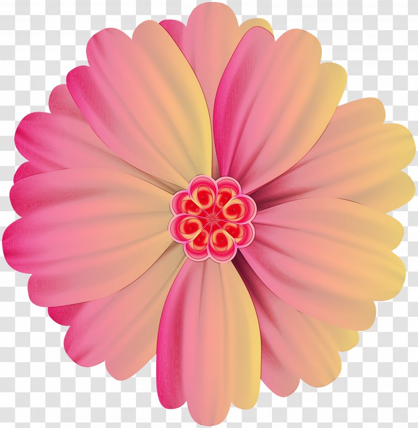 Pink Petal Gerbera Flower Barberton Daisy - Family Hair Accessory Transparent PNG