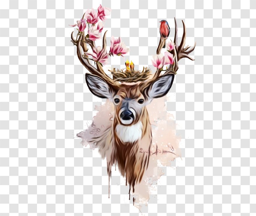 Reindeer - Deer - Fawn Fur Transparent PNG