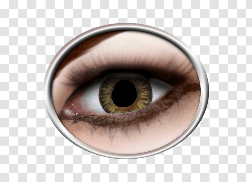 Contact Lenses Costume Red Eye Color - Tree - Moskau Transparent PNG