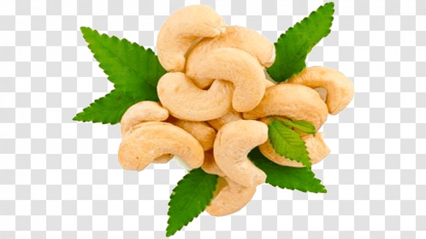 Cashew Nut Dried Fruit Health Food - Macadamia Transparent PNG