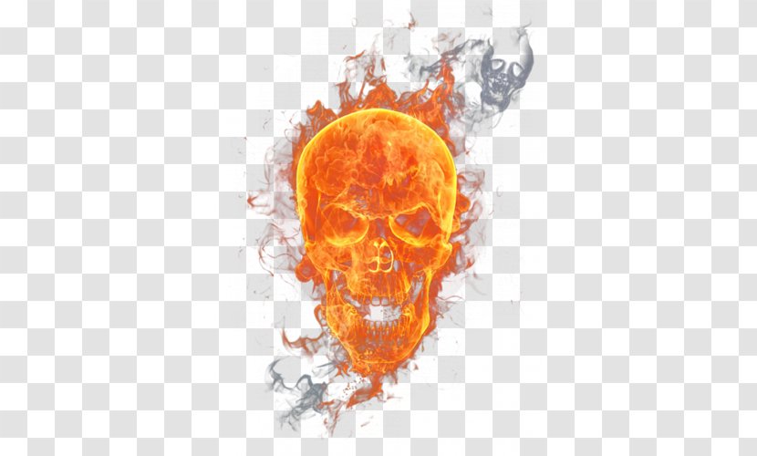 Flame U9ab7u9ac5 Combustion - Orange - Skull Transparent PNG