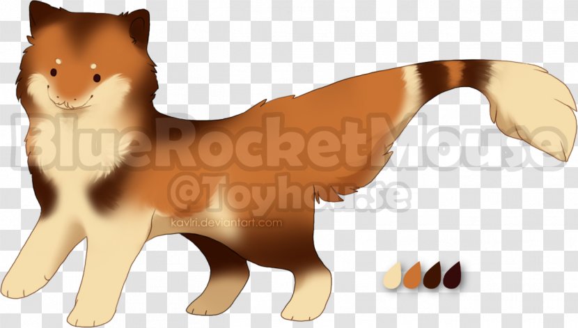 Whiskers Cat Dog Breed Red Fox - Small To Medium Sized Cats Transparent PNG
