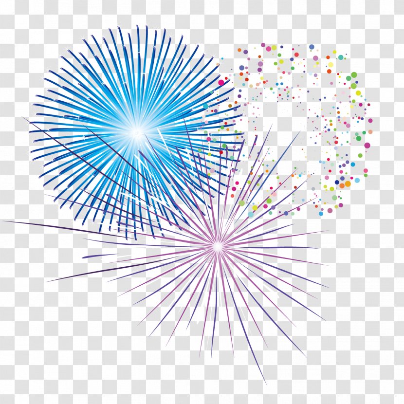 Pyrotechnics Fireworks - Colorful Transparent PNG