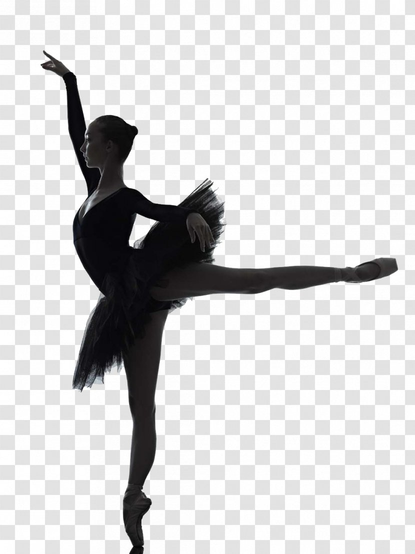 Ballet Dancer Silhouette - Tree - Europe Transparent PNG