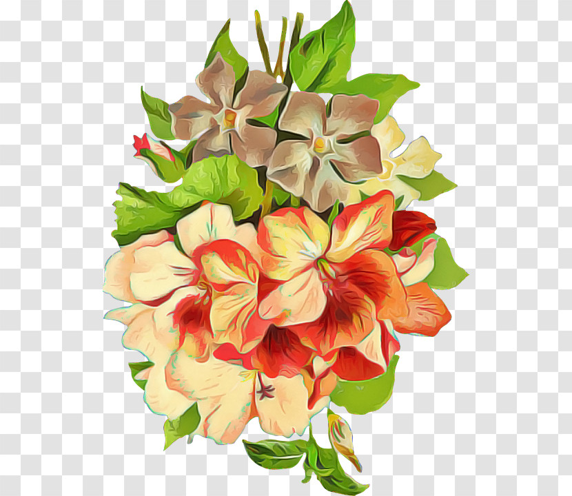 Floral Design Transparent PNG