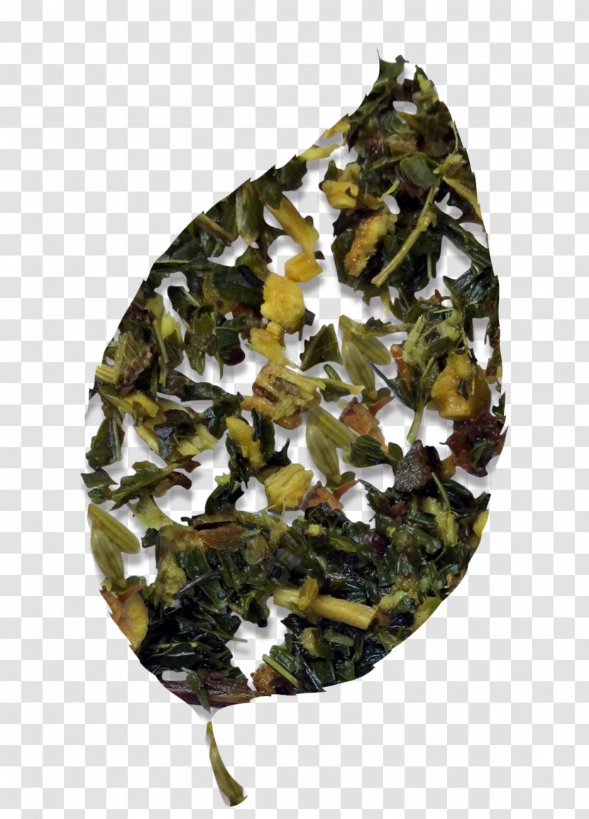 Tieguanyin Leaf Vegetable Camouflage - Fennel Flower Transparent PNG