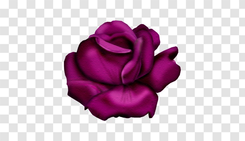 Garden Roses Flower Clip Art - Purple - Rose Transparent PNG