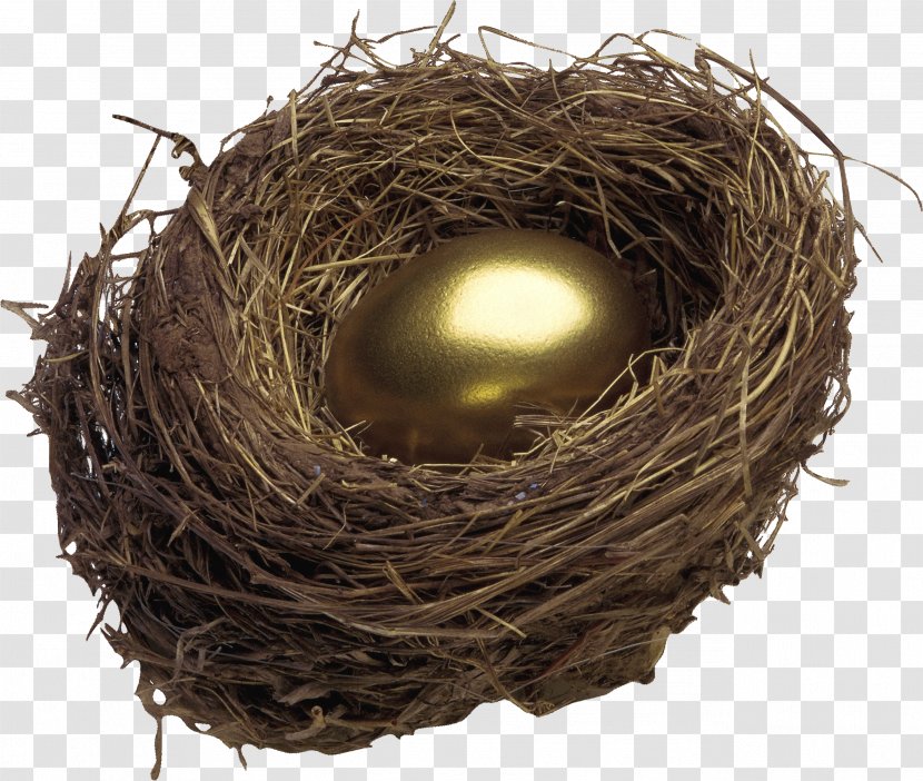 Bird Nest Egg Transparent PNG