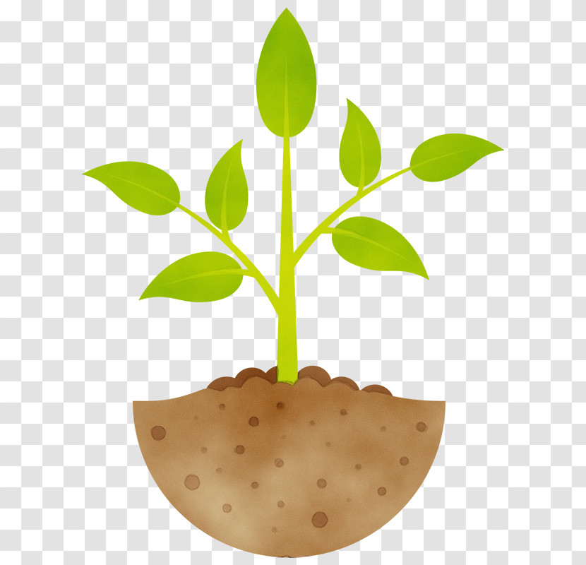 Cartoon Seedling Flowerpot Plant Development Sowing Transparent PNG