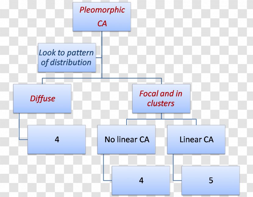 Brand Line Point Organization - Diagram Transparent PNG