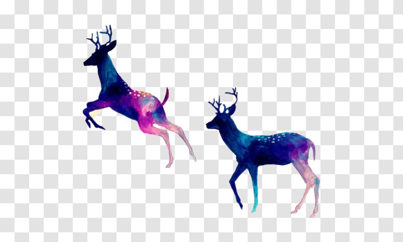 White-tailed Deer Reindeer Desktop Wallpaper Rudolph - Vertebrate Transparent PNG