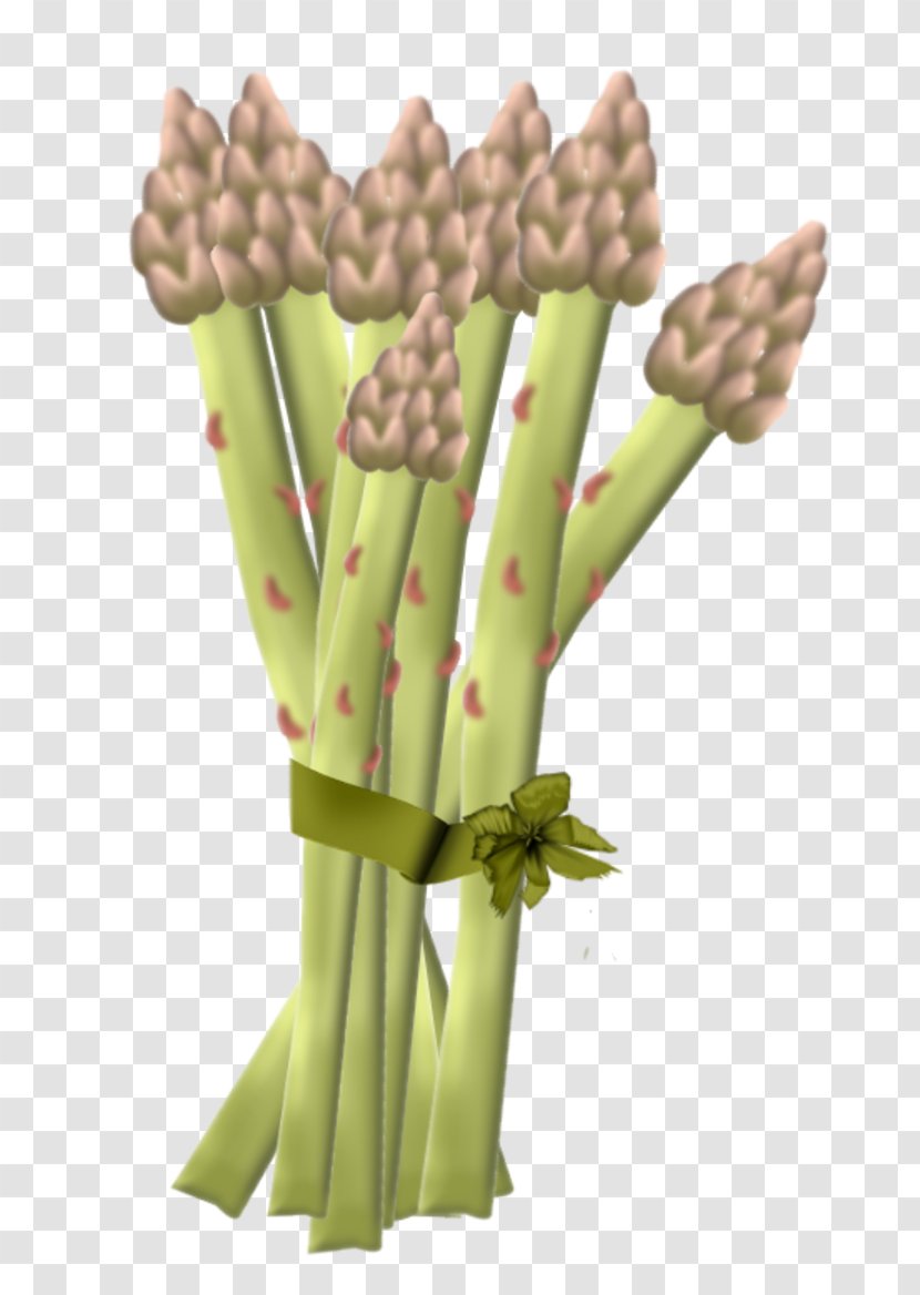 Fruit Vegetable Asparagus 5 A Day Transparent PNG