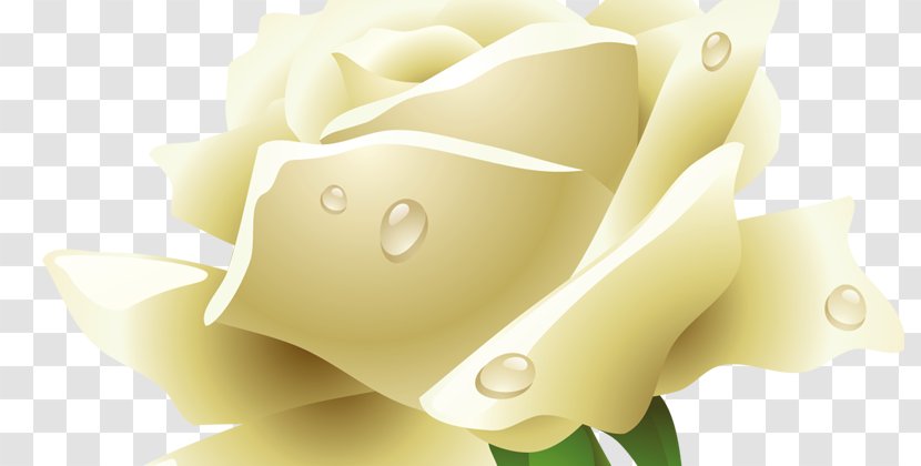 Rose Clip Art - Image Resolution Transparent PNG