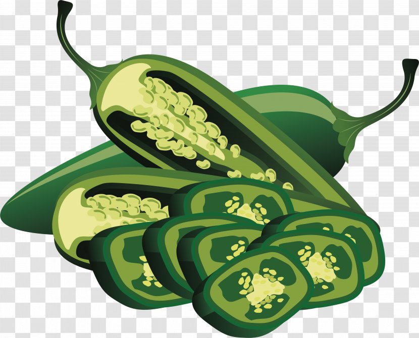 Jalapexf1o Bell Pepper Poblano Chili - Green Transparent PNG