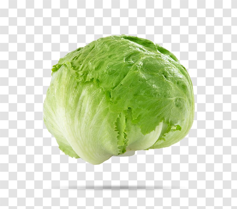 Iceberg Lettuce Food Vegetable Salad Organic Transparent PNG