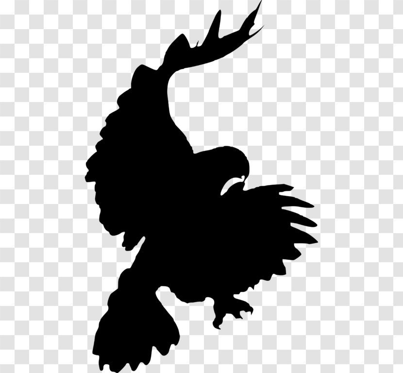 Bird Red-tailed Hawk Eagle Clip Art - Black And White Transparent PNG