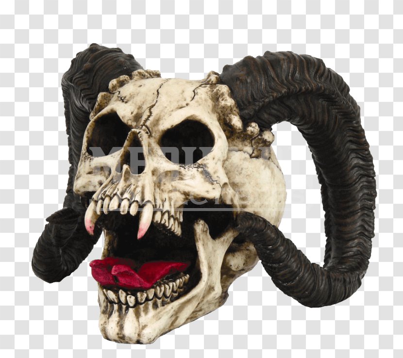 Demon Skull Figurine Statue Horn - Skeleton Transparent PNG