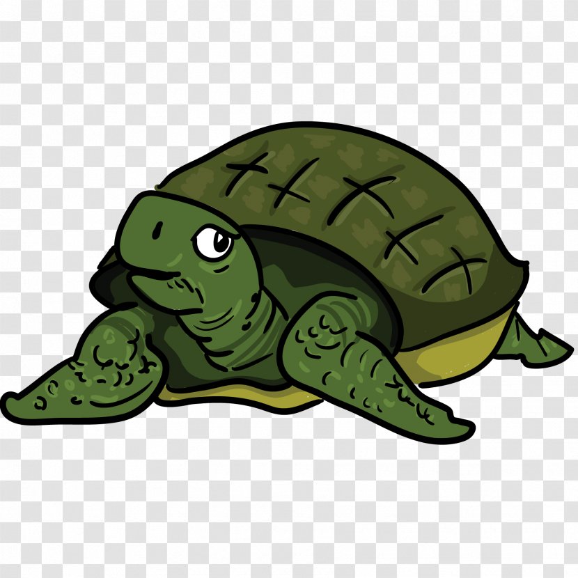Turtle The Tortoise And Hare Clip Art - Terrestrial Animal Transparent PNG