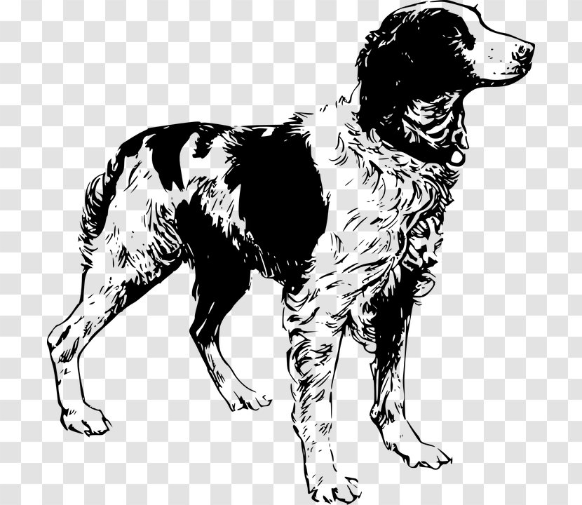 Brittany Dog English Cocker Spaniel Clumber Setter - Breed Group - Black And White Transparent PNG