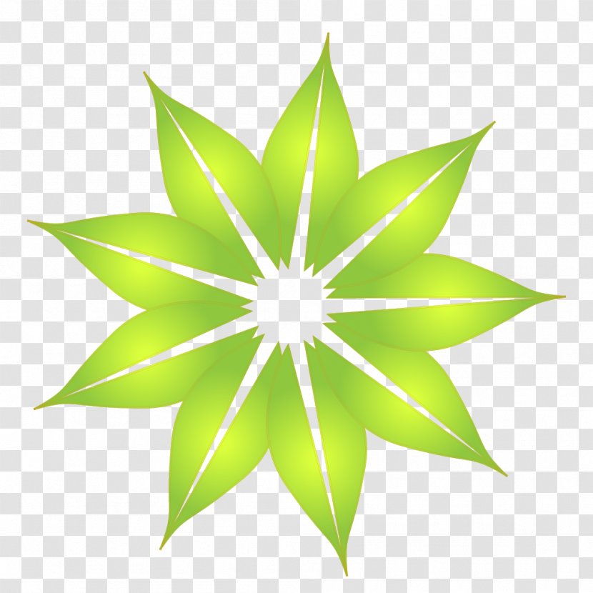 Flower Image Color Green - Plant - Daylight Transparent PNG