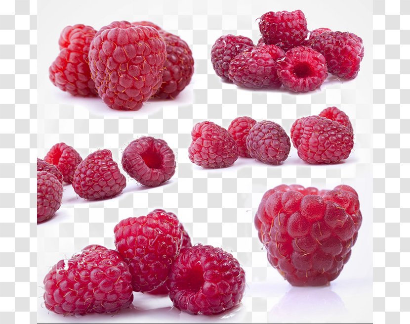 Red Raspberry Frutti Di Bosco Fruit Boysenberry Transparent PNG