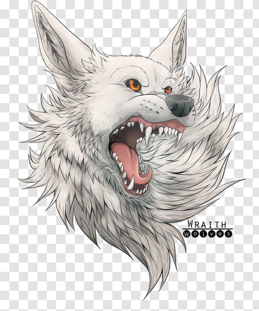 Whiskers Wolf Cat Illustration Snout - Legendary Creature - Angry Drawings Teeth Transparent PNG
