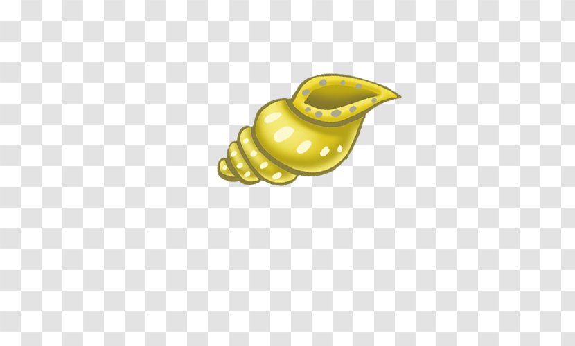 Sea Snail Conch Icon Transparent PNG