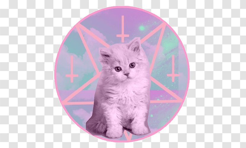 Kitten Cat Satanism Devil - Cuteness - Ice Explosion Transparent PNG