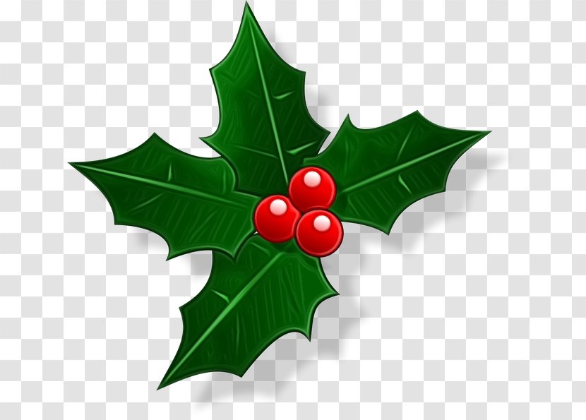 Common Holly Christmas Day Clip Art Vector Graphics Image - Tree - Holiday Transparent PNG