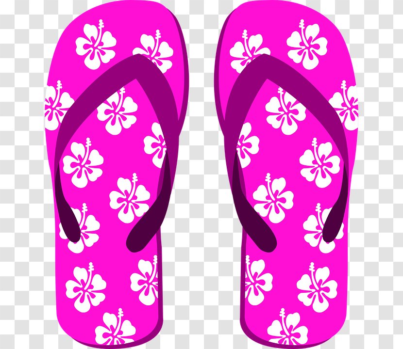 Slipper Flip-flops Shoe Sandal - Boot - Beach Transparent Transparent PNG