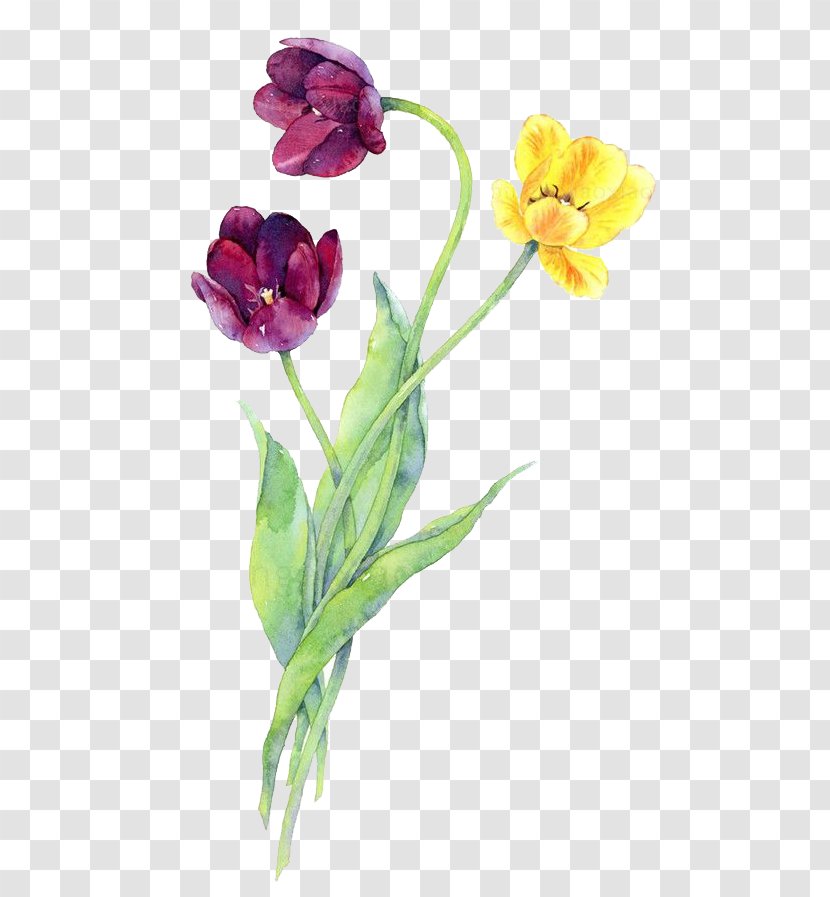 Watercolor Flowers - Flower - Cut Transparent PNG