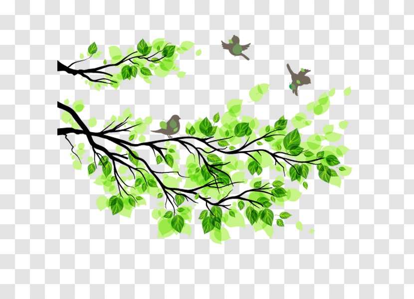 Branch Leaf Tree Illustration - Branches Green Bird Spring Material Transparent PNG