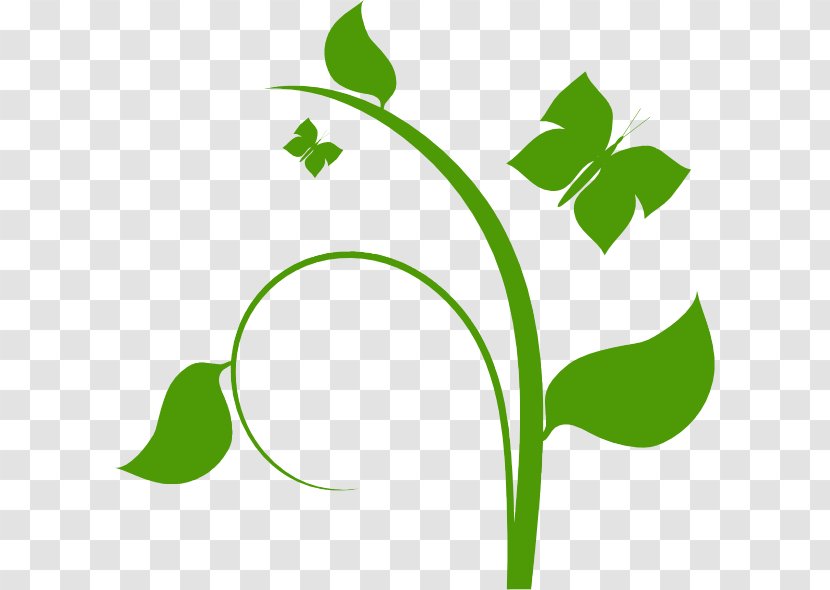 Vine Flower Clip Art - Ivy - Vines Transparent PNG