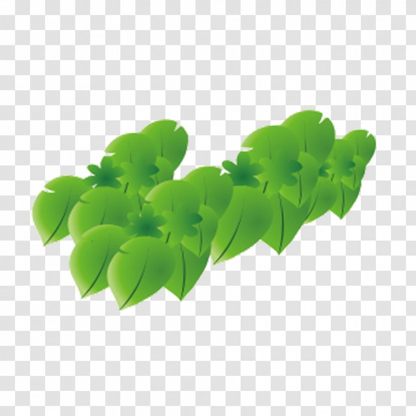 Cartoon Drawing - Plant - Green Leaves Transparent PNG